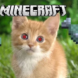 Кот Максим