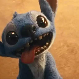 Stitch